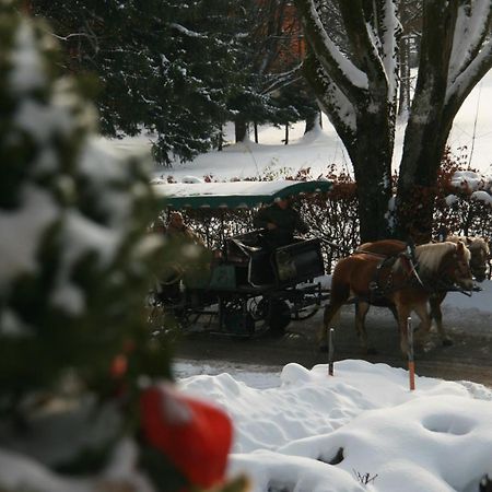 Pension Wolfgangsee Sankt Wolfgang im Salzkammergut ภายนอก รูปภาพ